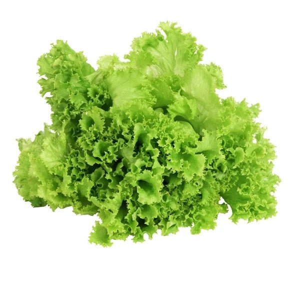 LECHUGA CRESPA EN MATA - SUPERMIX