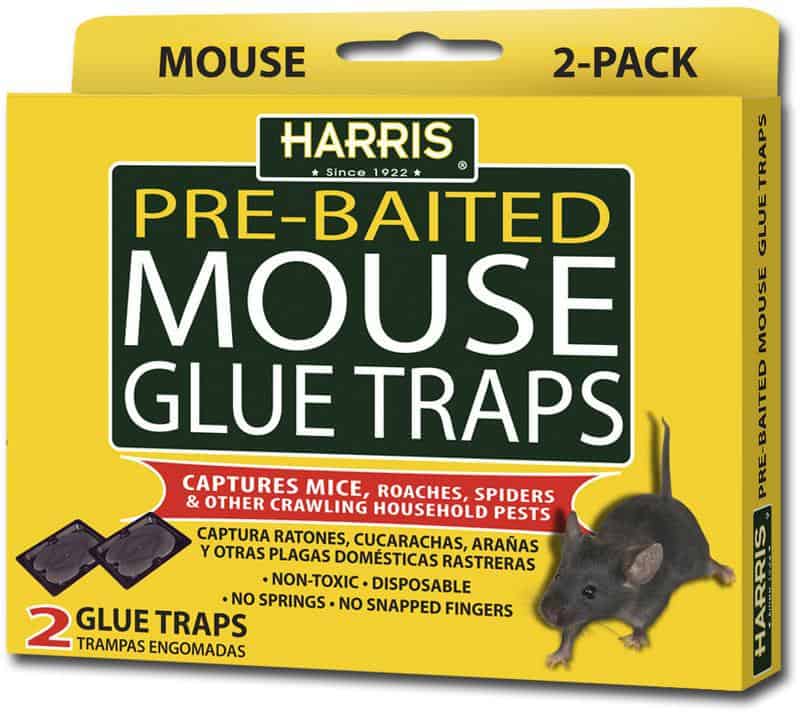 PIC MOUSE GLUE TRAP 2 CT - SUPERMIX
