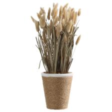 PLANTA ART C/POTE 19X19X40CM - SUPERMIX
