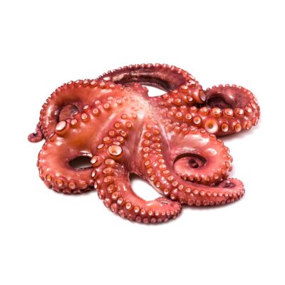 PULPO FRESCO CRIOLLO - SUPERMIX