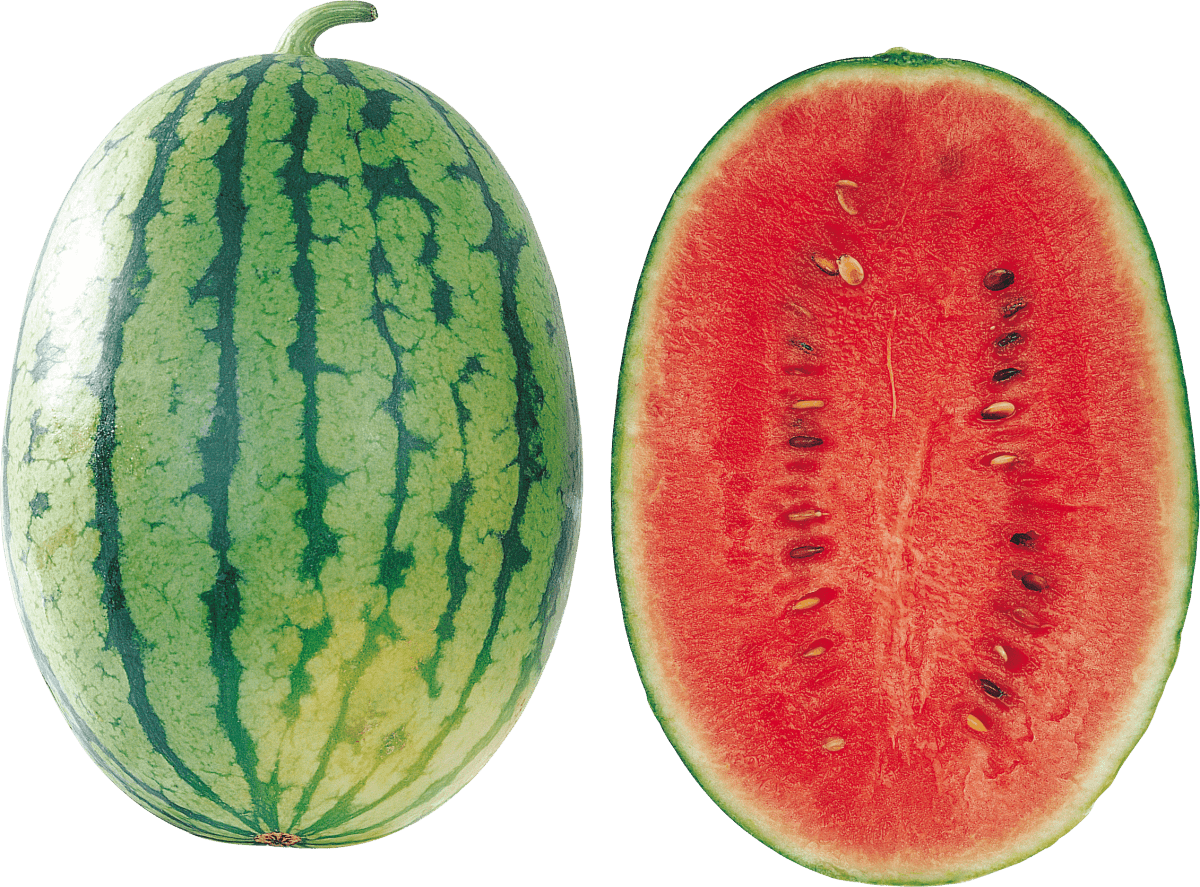 SANDIA ROJA LB - SUPERMIX