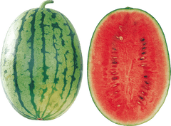 SANDIA ROJA LB - SUPERMIX