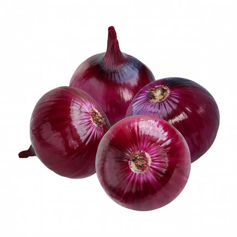 CEBOLLAS ROJAS SELECTA LB