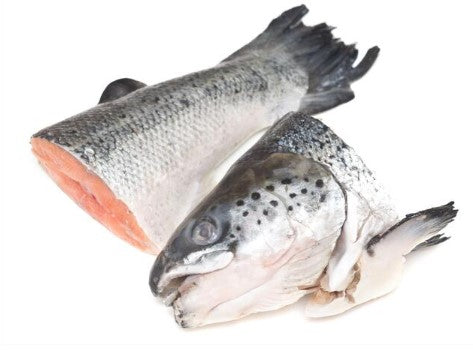 SALMON CANADIENSE CABEZA Y COLA