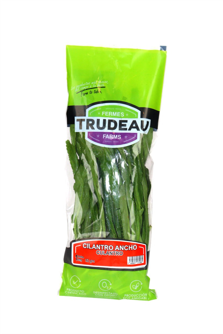 TRUDEAU CILANTRO 82 GRS
