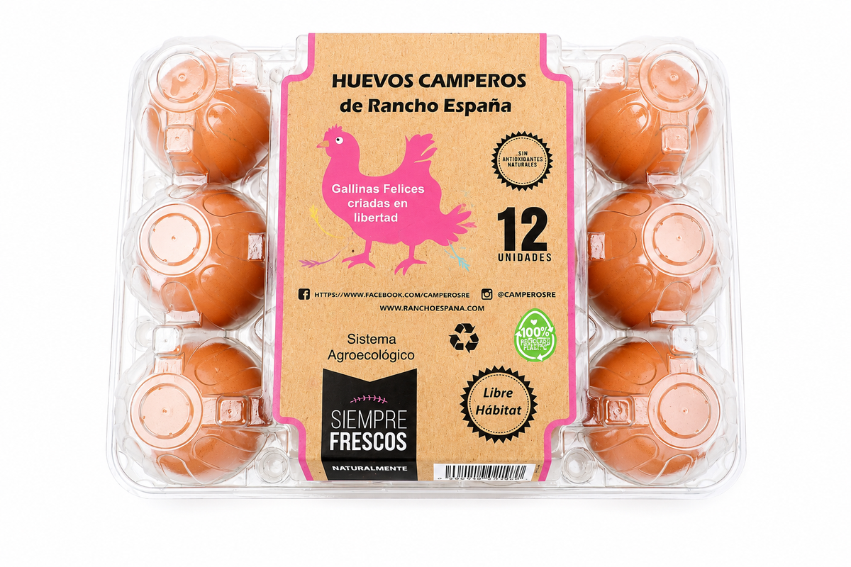 CAMPEROS HUEVO MARRON 12/1