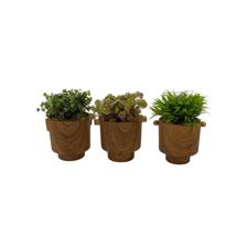 PLANTAS C/POTE 3 SURT 20X15X29