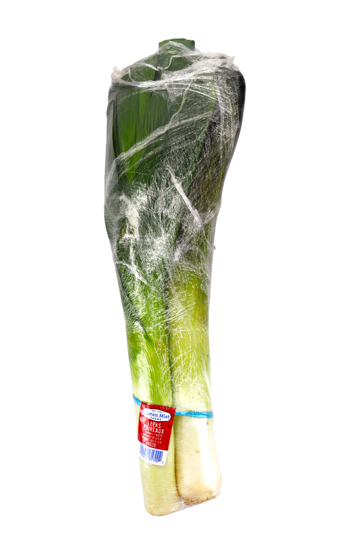 LEEKS BUNCHED 12