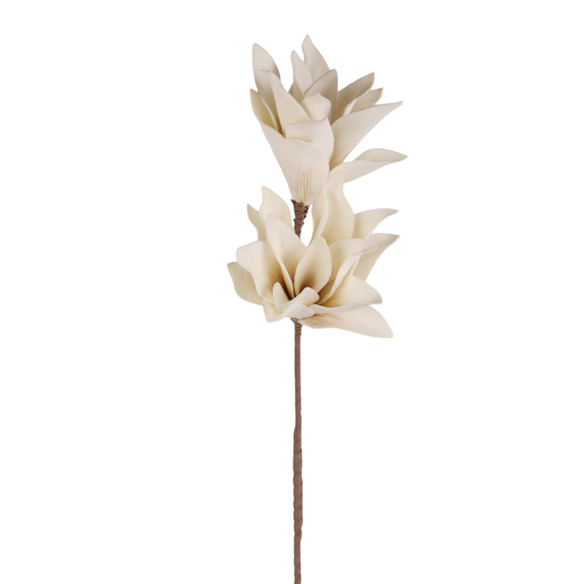 RAMA DECOR