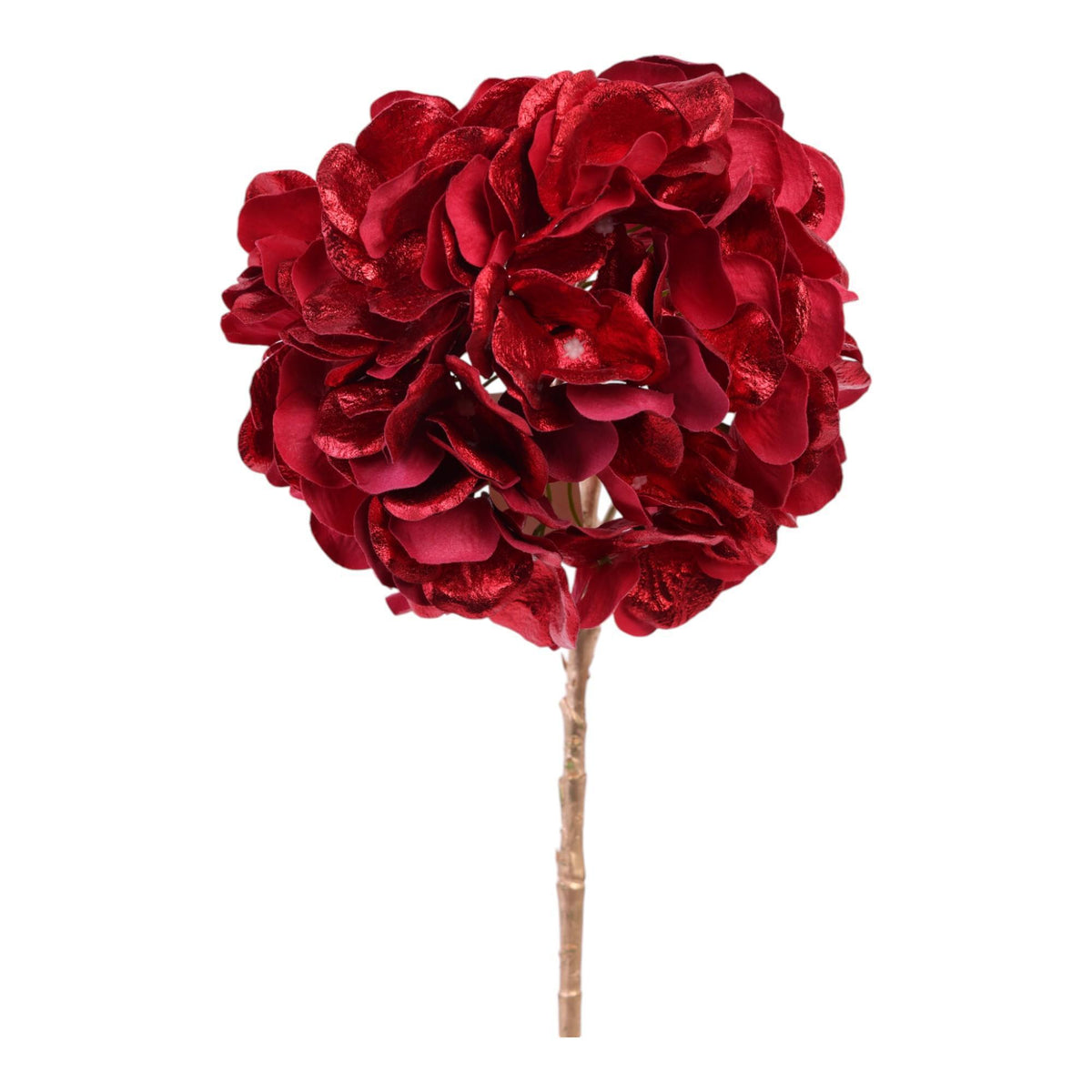 HORTENSIA DECOR