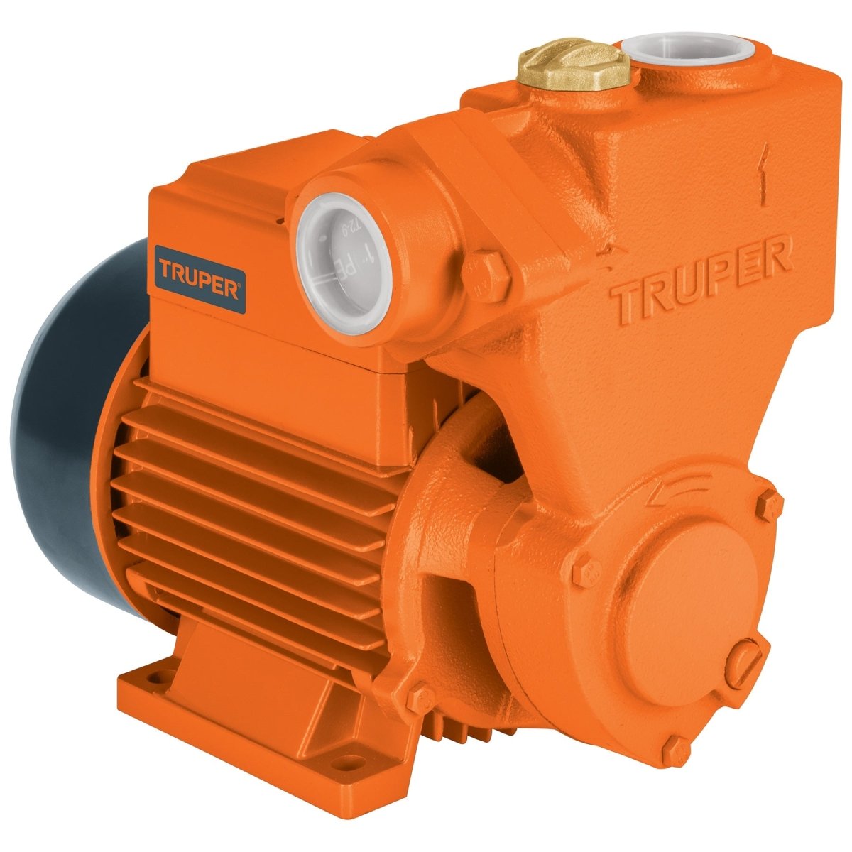 BOMBA 1 HP LADRONA AUTOCEBANTE TRUPER - SUPERMIX