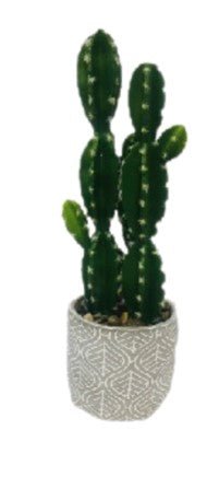 BONSAI CACTUS 35X15CM - SUPERMIX