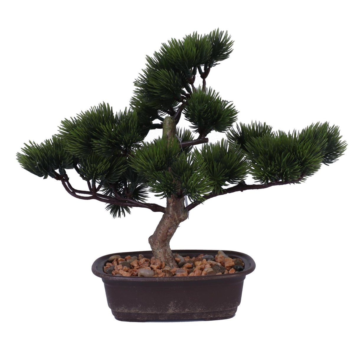 BONSAI EN POTE 30 CM - SUPERMIX