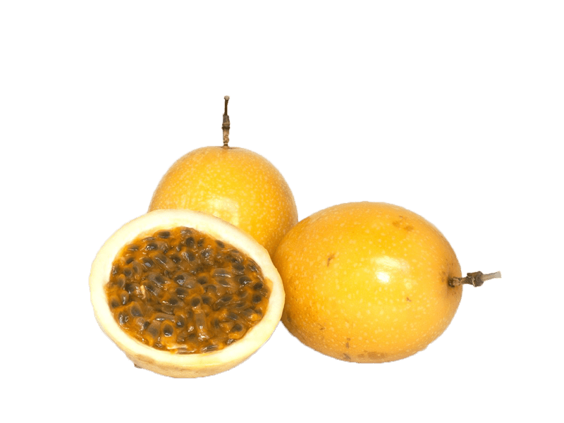 CHINOLA SELECTA LB - SUPERMIX