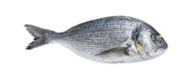 DORADO ENTERO IMP 10 - 15 LBS - SUPERMIX