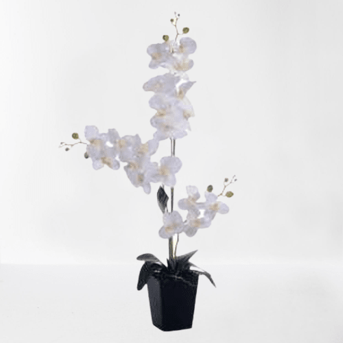 FLORES ORQUIDEAS ARTI 90 - SUPERMIX