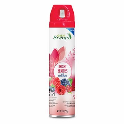GREAT SCENTS AIT FRESSHENER BRIGHT BERRIES 9 OZ - SUPERMIX