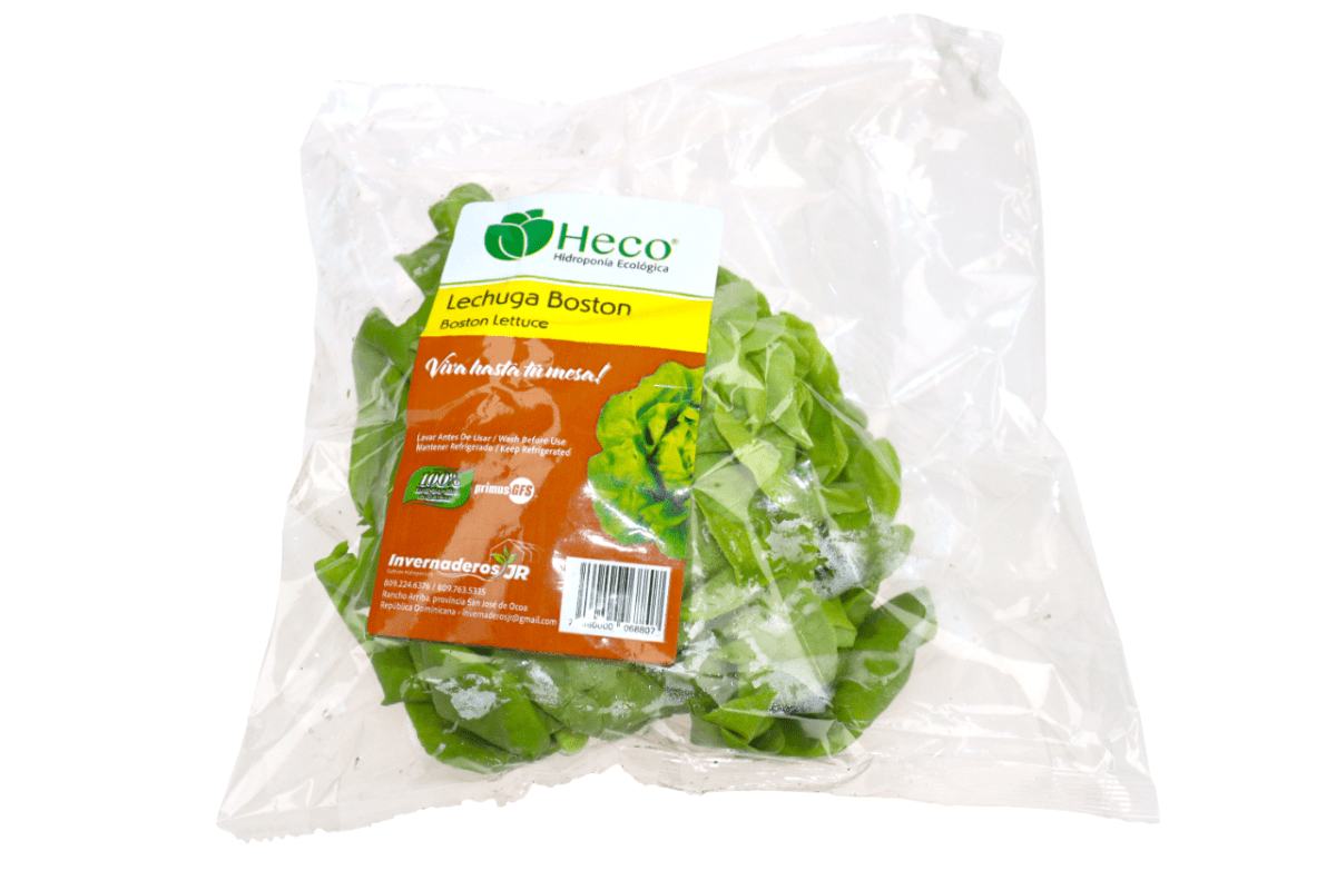 LECHUGA BOSTON HIDROPONICA - SUPERMIX