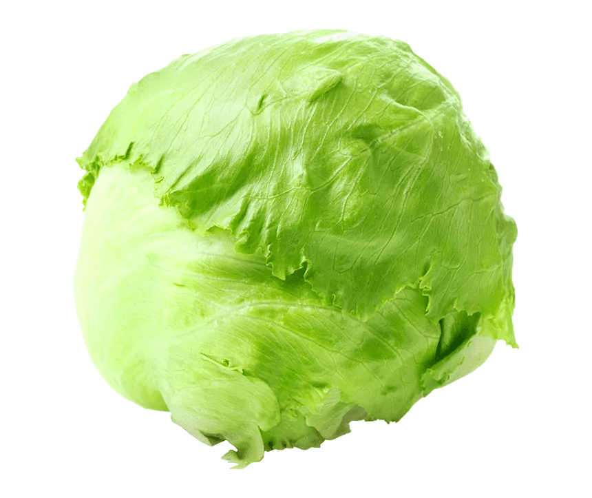 LECHUGA REPOLLADA LB - SUPERMIX