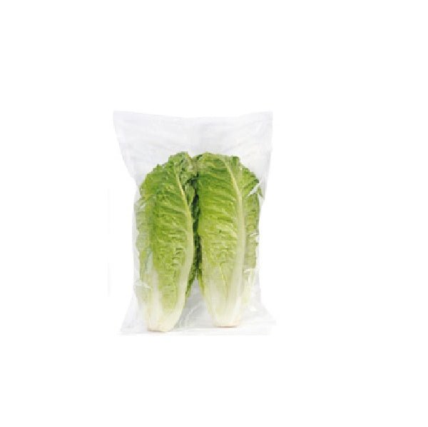 LECHUGA ROMANA HIDROPONICA - SUPERMIX