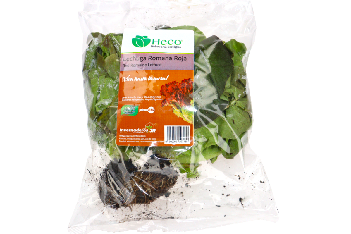 LECHUGA ROMANA ROJA HIDROPONICA - SUPERMIX