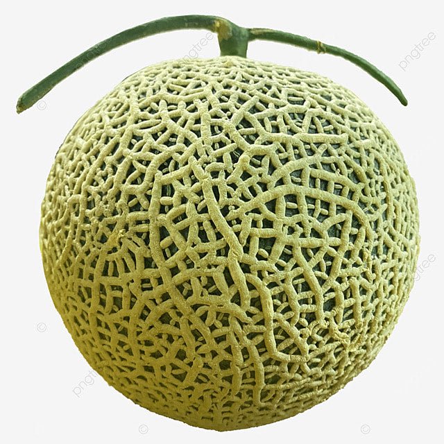 MELON TROPICAL (CHARENTAIS) - SUPERMIX
