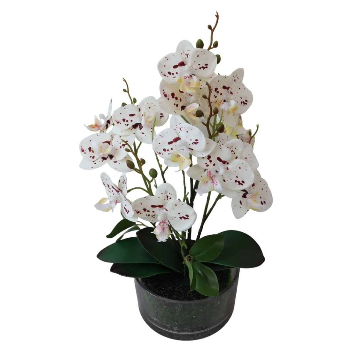 ORQUIDEA DECOR X34CM - SUPERMIX
