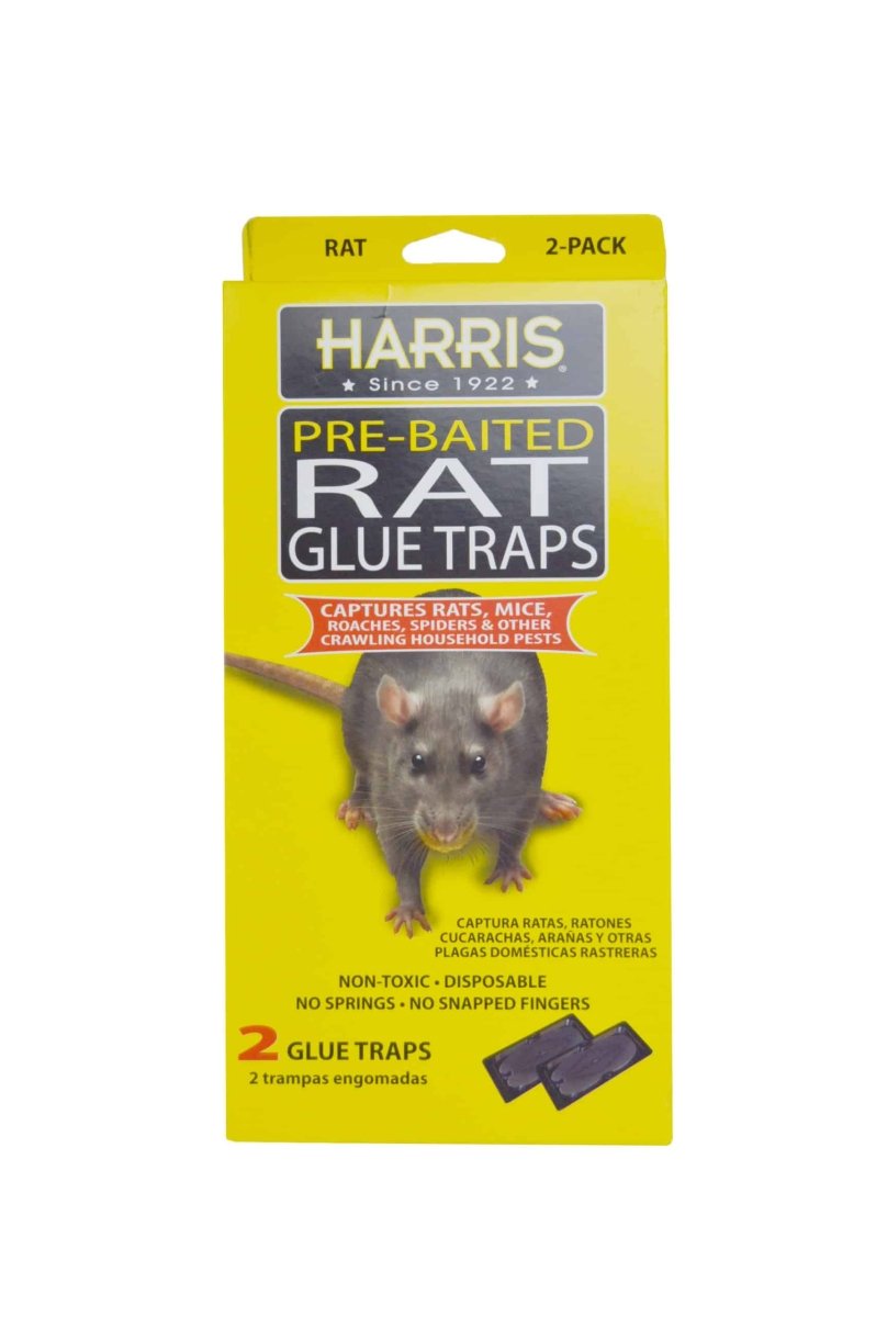 PIC RAT GLUE TRAP 2 CT - SUPERMIX