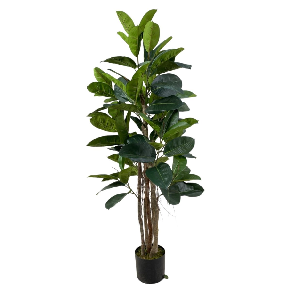 PLANTA ART. C/POTE 43X43X130CM - SUPERMIX
