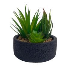 PLANTA ART DECOR 15.50X15.50X213X13X - SUPERMIX