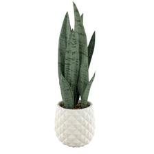 PLANTA ARTIFICIAL 11.5X11.5X39CM - SUPERMIX