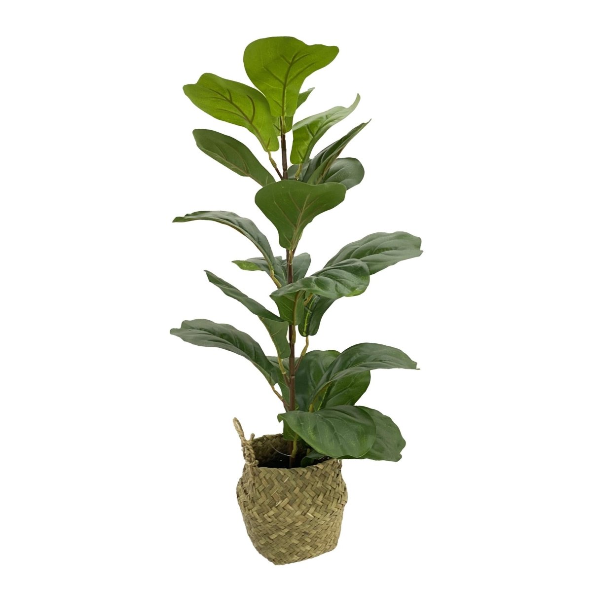 PLANTA C/CESTA 20X23X66CM - SUPERMIX