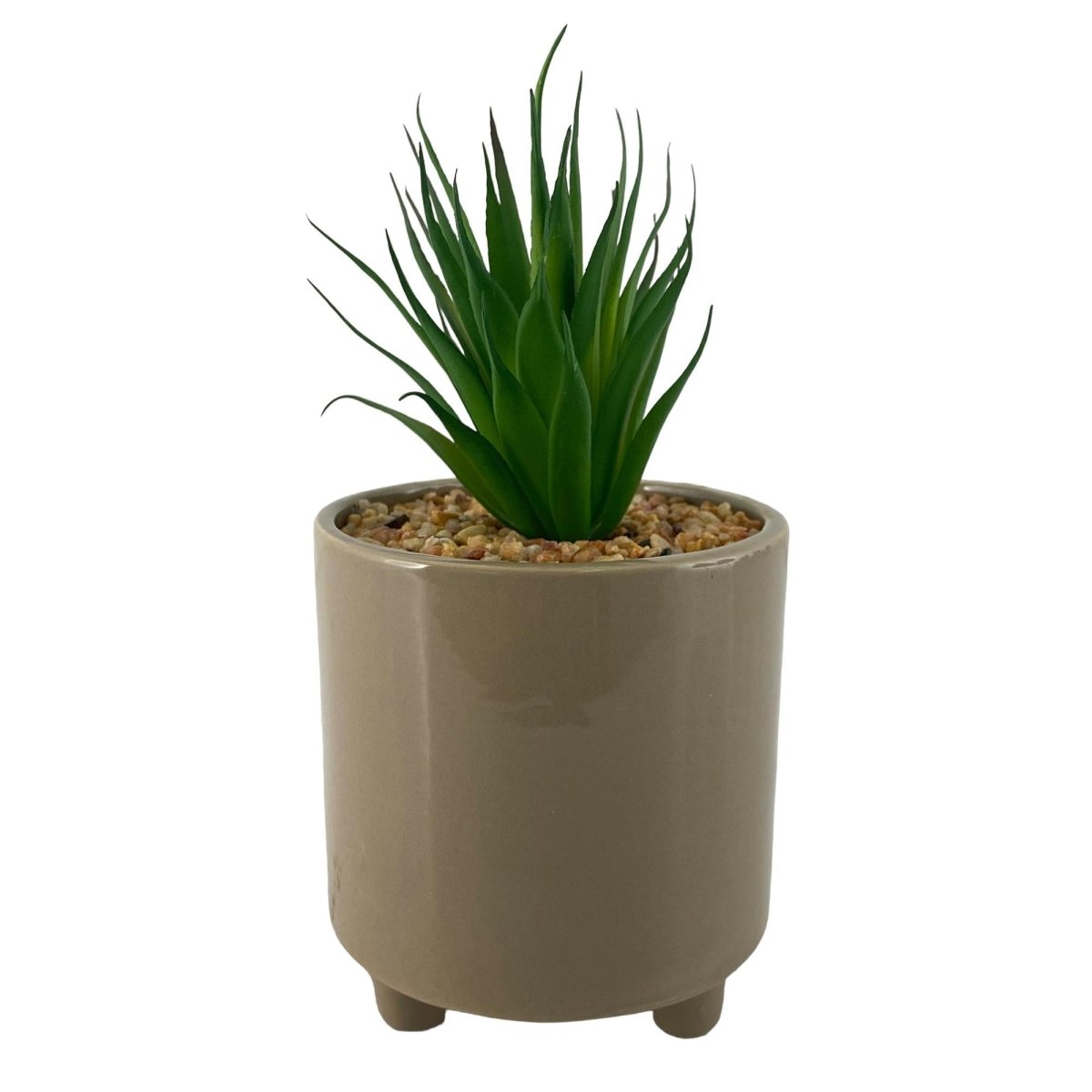PLANTA CON POTE 10.2X10.2X20CM - SUPERMIX