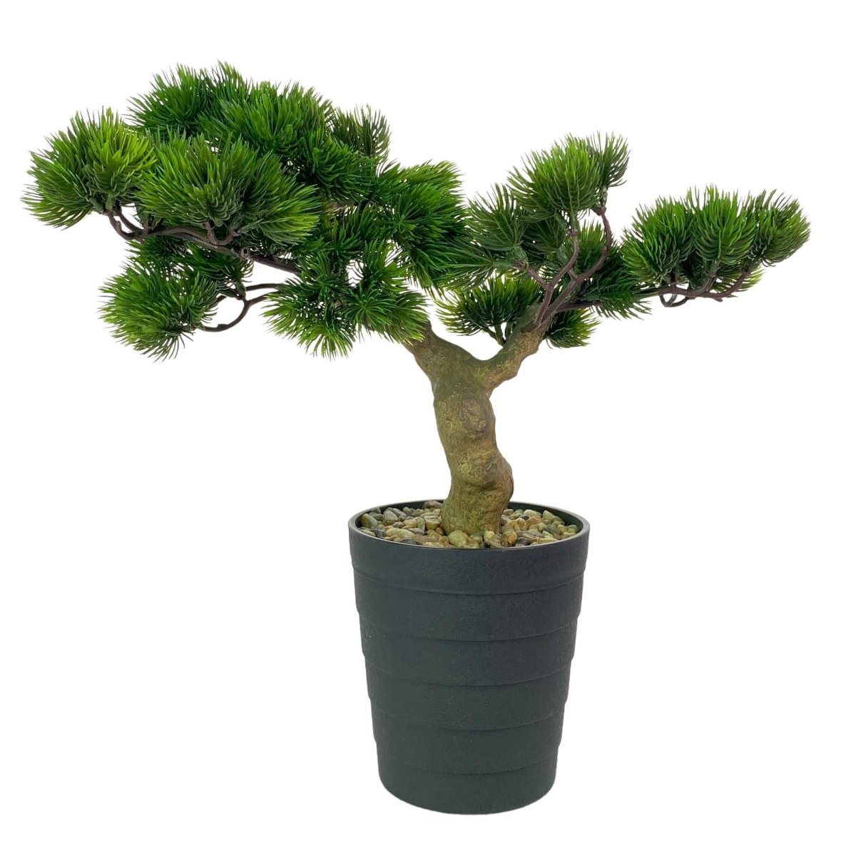 PLANTA CON POTE 40X18X38CM - SUPERMIX
