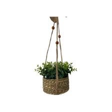 PLANTA C/POTE 18X18X15CM - SUPERMIX