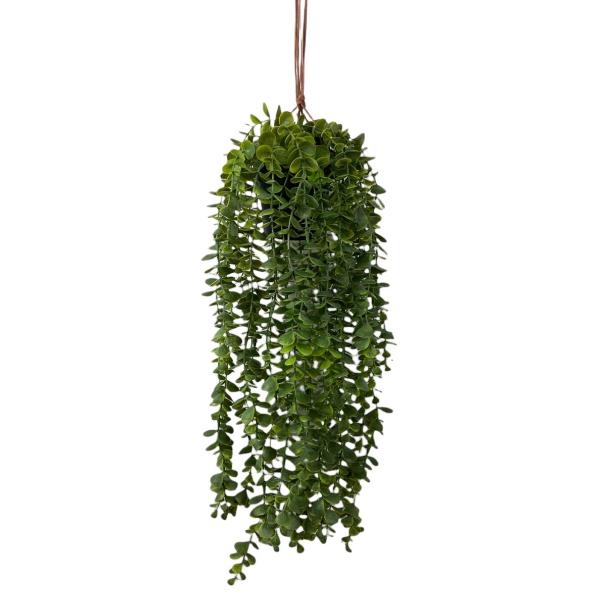 PLANTA C/POTE 28X28X60CM - SUPERMIX
