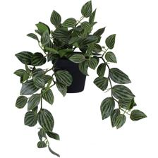 PLANTA C/POTE 30X16X42CM - SUPERMIX