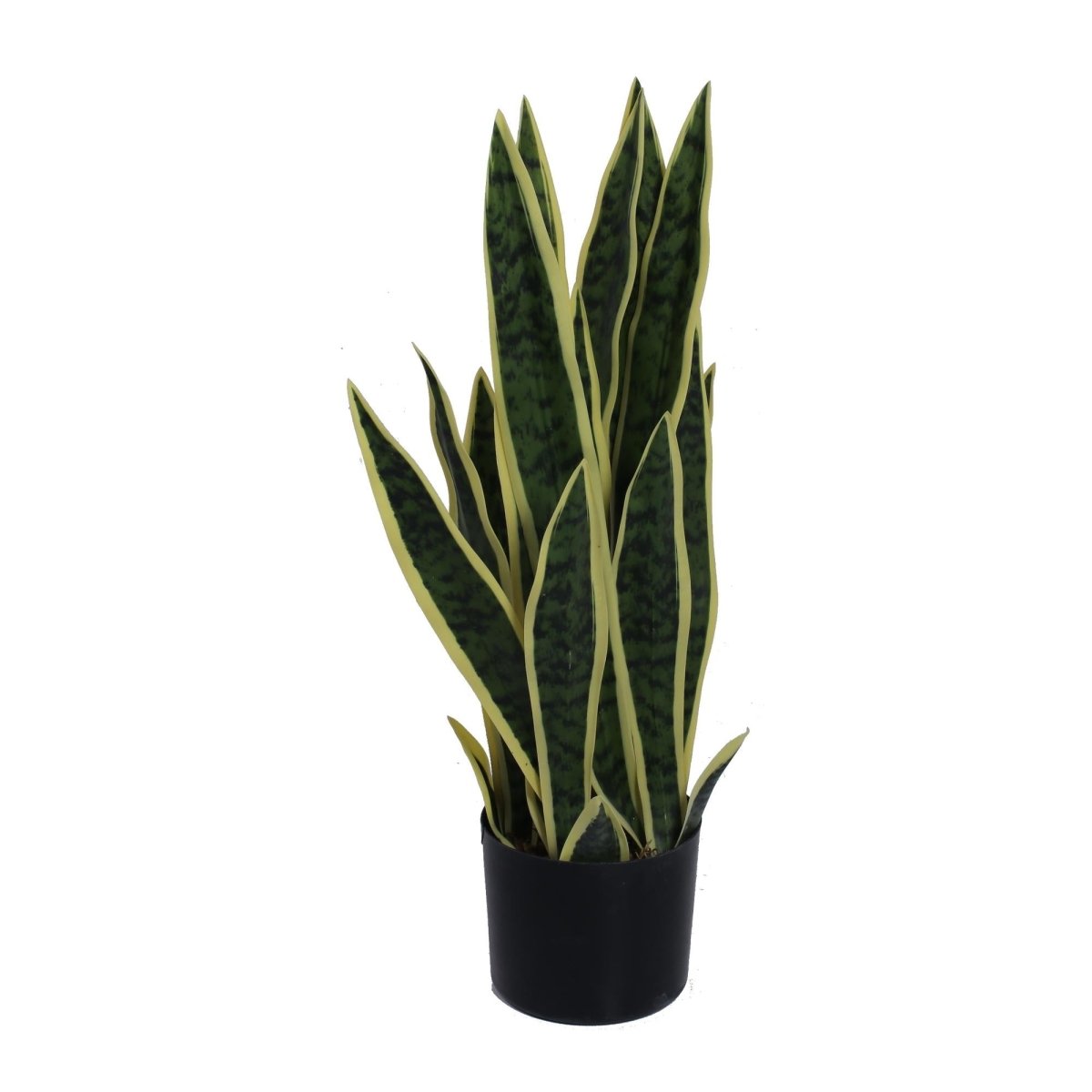 PLANTA C/POTE 60X36X60 CM - SUPERMIX