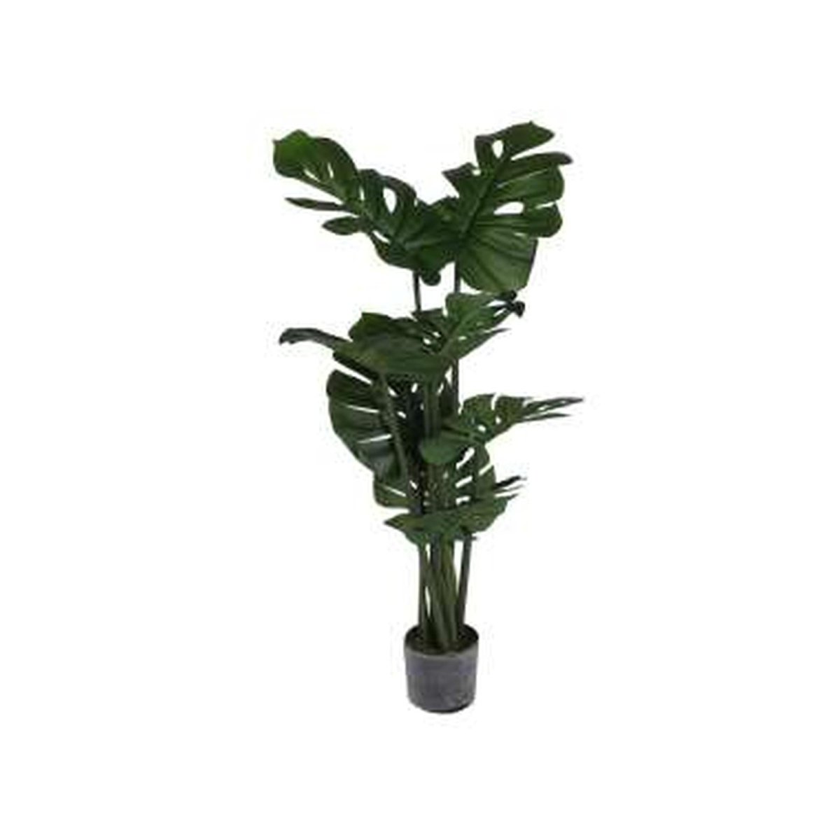PLANTA C/POTE 90X70X80 CM - SUPERMIX