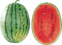 SANDIA ROJA LB - SUPERMIX