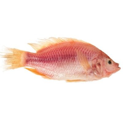 TILAPIA ROJA IMPORTADA - SUPERMIX