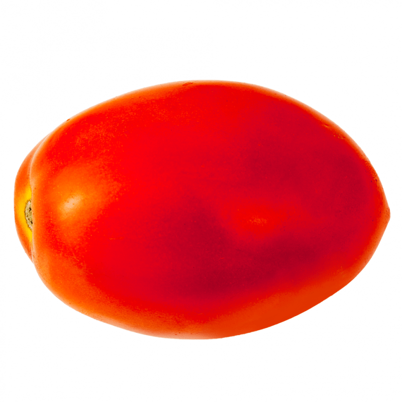 TOMATE BUGALU LB - SUPERMIX