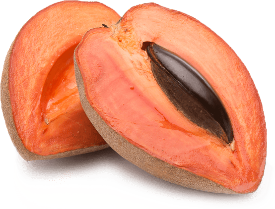 ZAPOTE UND - SUPERMIX